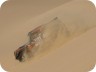 07pharaons0886