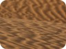 TUN11_03AR_0491-1