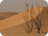 TUN11_03AR_0889